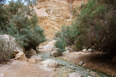 Similar image 17297758