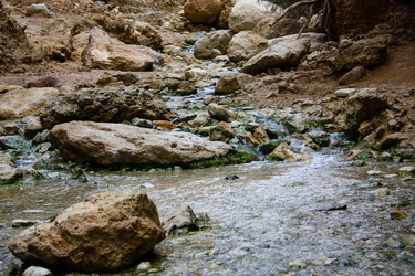 Similar image 17316041