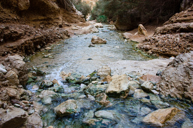 Similar image 17316092