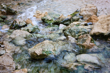 Similar image 17316082