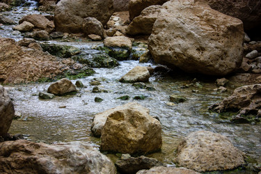 Similar image 17316084