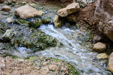 Similar image 17543264