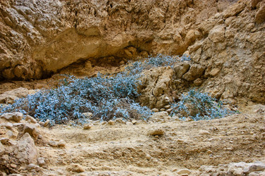 Similar image 17543288