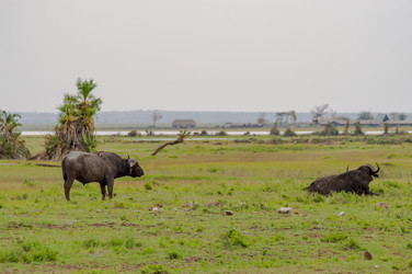 Similar image 17544060