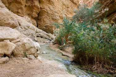 Similar image 17244733