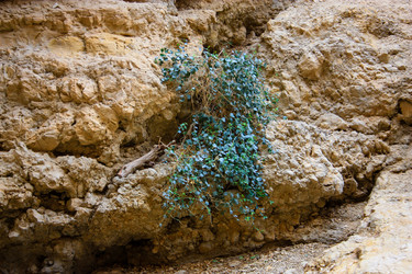 Similar image 17244761