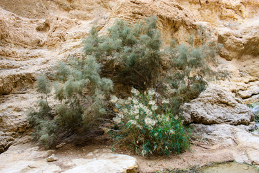 Similar image 17248604