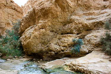 Similar image 17248638