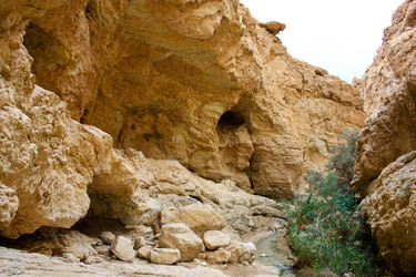 Similar image 17298433