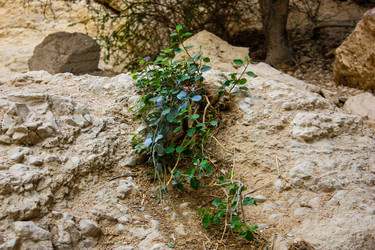 Similar image 17315845