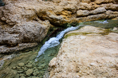 Similar image 17315636