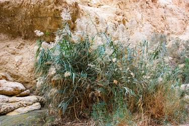 Similar image 17315653