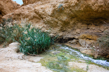 Similar image 17315688