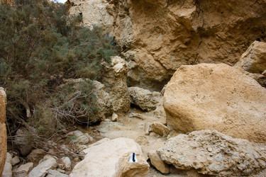 Similar image 17316087