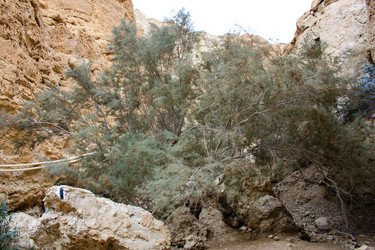 Similar image 17316090