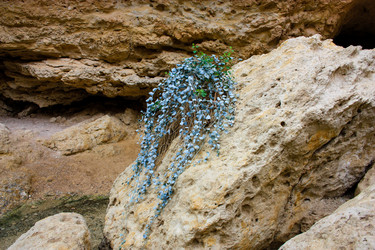 Similar image 17316093