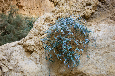 Similar image 17316094