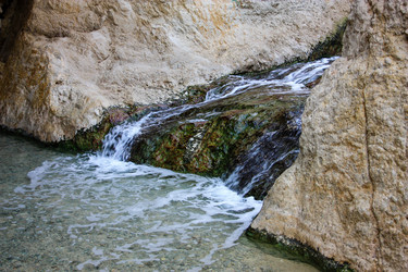 Similar image 17316095