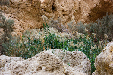 Similar image 17316357