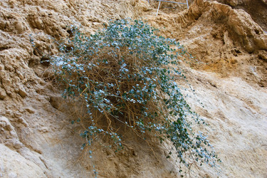 Similar image 17316964