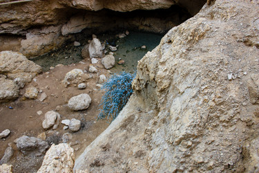 Similar image 17543282