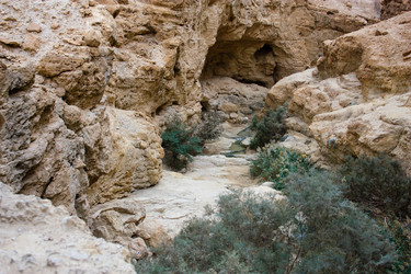 Similar image 17543340