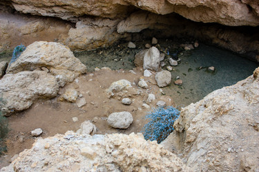 Similar image 17543342