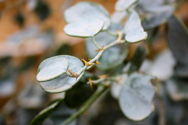 Similar image 17543289