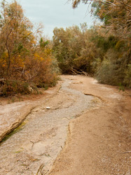 Similar image 17244671