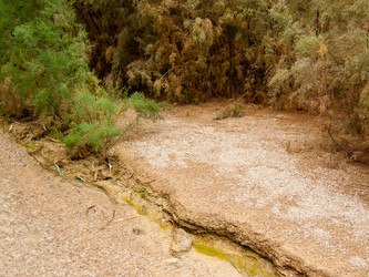 Similar image 17244674