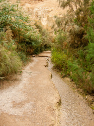 Similar image 17244689