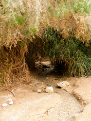 Similar image 17244748