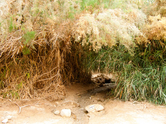 Similar image 17244751