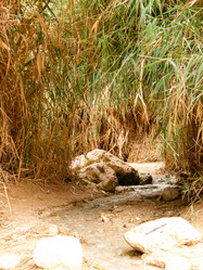 Similar image 17244755