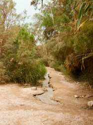 Similar image 17244686