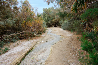 Similar image 17244745