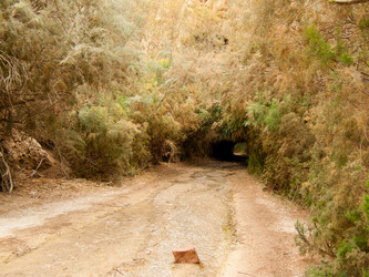 Similar image 17248565