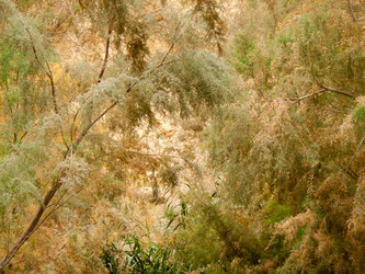 Similar image 17248571