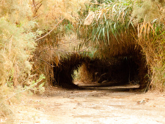 Similar image 17248610