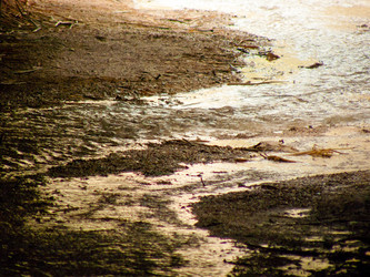 Similar image 17543302