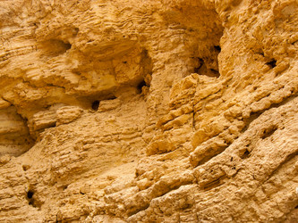 Similar image 17298730