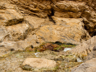 Similar image 17297442