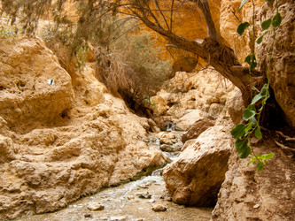 Similar image 17316085