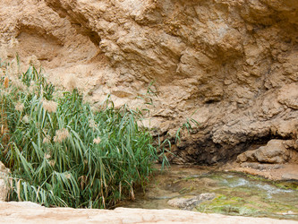 Similar image 17317217