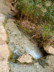 Similar image 17297607