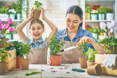 Similar image 17239899