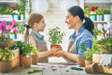 Similar image 17239900