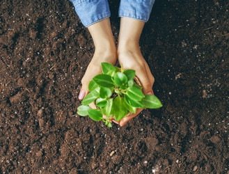 Similar image 17239903