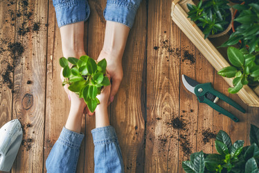 Similar image 17239904