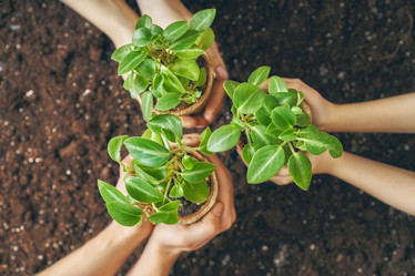 Similar image 17239905